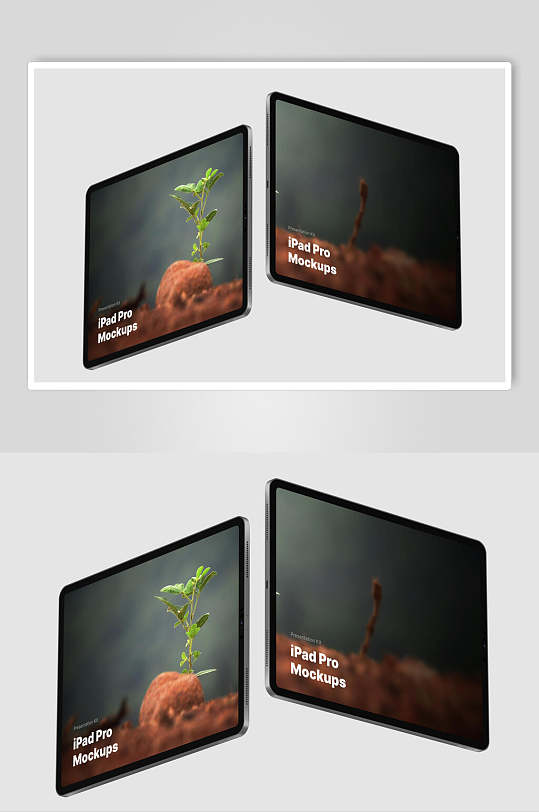 植物英文字母黑色iPad平板样机