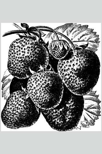 一束草莓水果素描手绘矢量素材