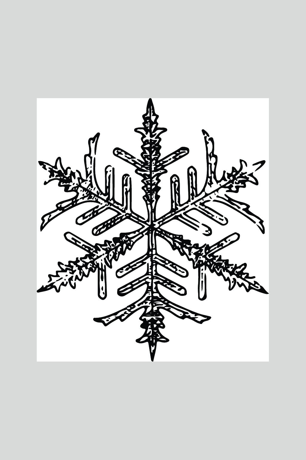 创意高端手绘雪花矢量素材素材