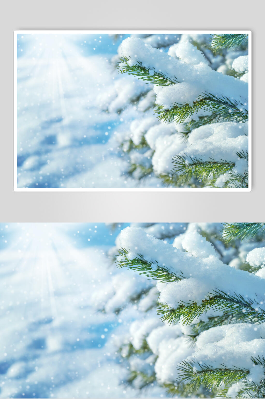 雪花冬季雪景摄影图素材