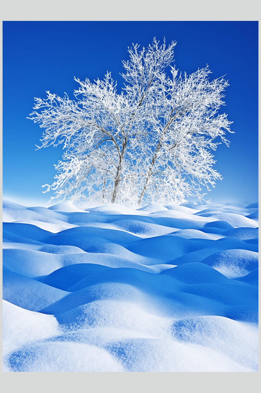 风景图片冬季雪景摄影图素材