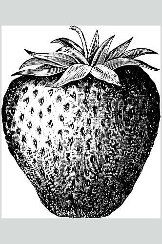草莓水果素描手绘矢量素材