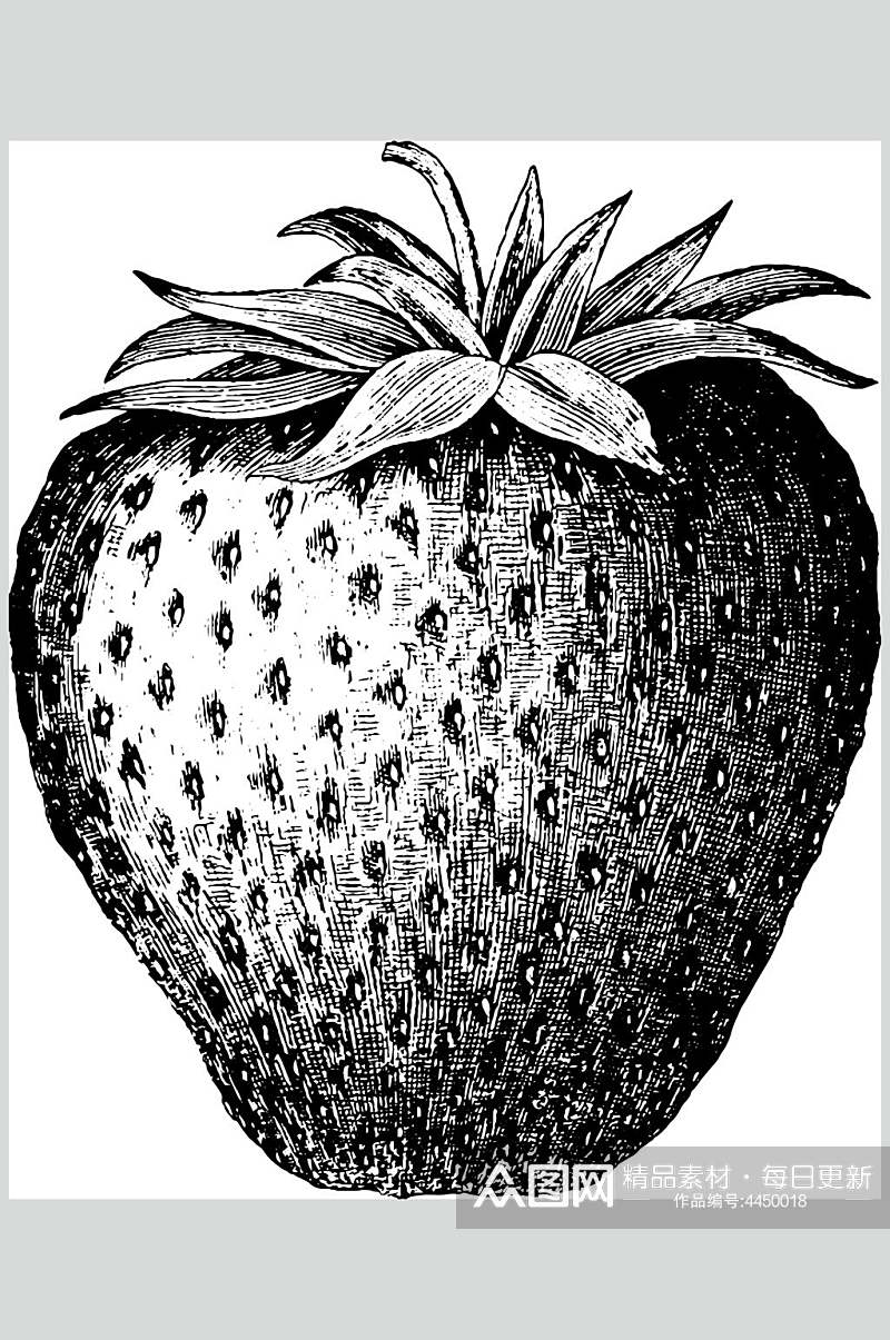 草莓水果素描手绘矢量素材素材