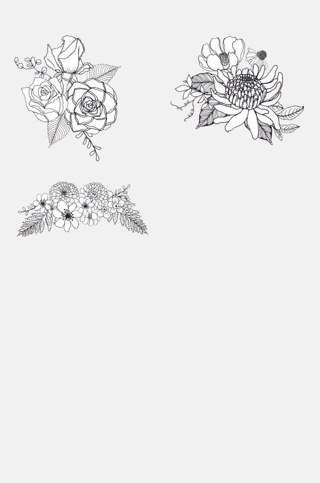 玫瑰菊花线条花卉免抠素材素材