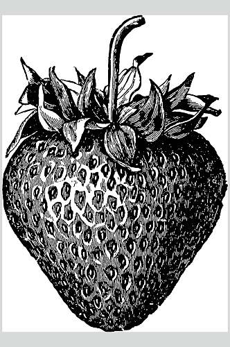 草莓水果素描手绘矢量素材