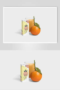 橙子简洁文创品牌样机