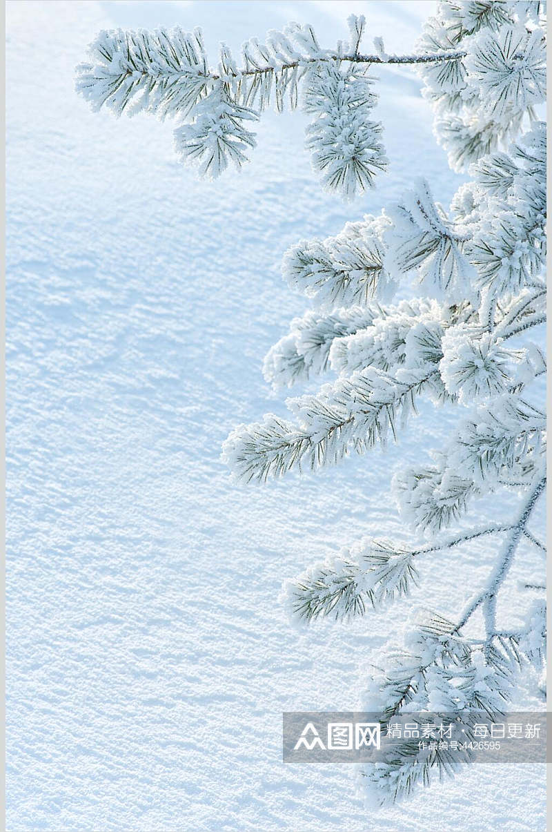 实景冬季雪景摄影图素材