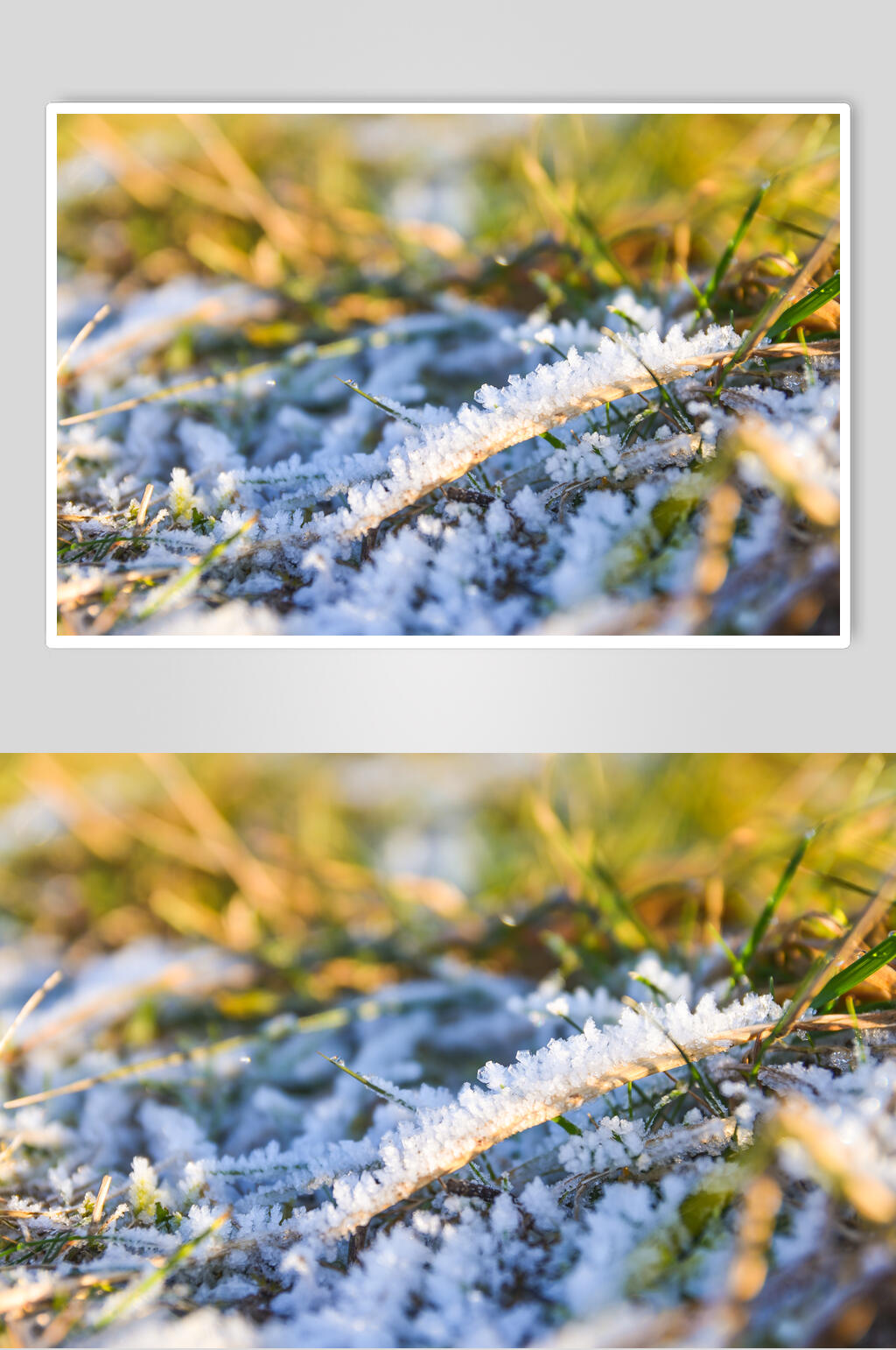 草地雪冰冬季雪景摄影图素材