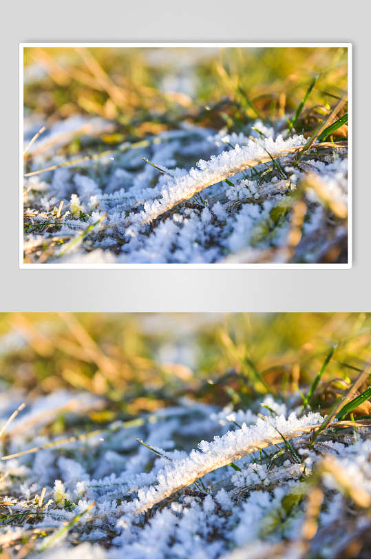 草地雪冰冬季雪景摄影图