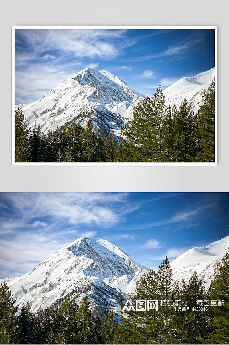 蓝天白云树木绿色雪山雪景图片素材