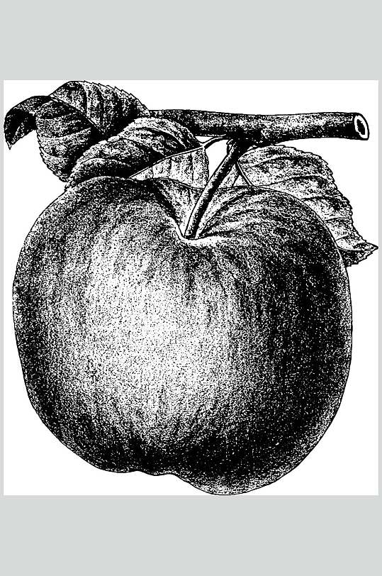 叶子苹果黑色水果素描手绘矢量素材