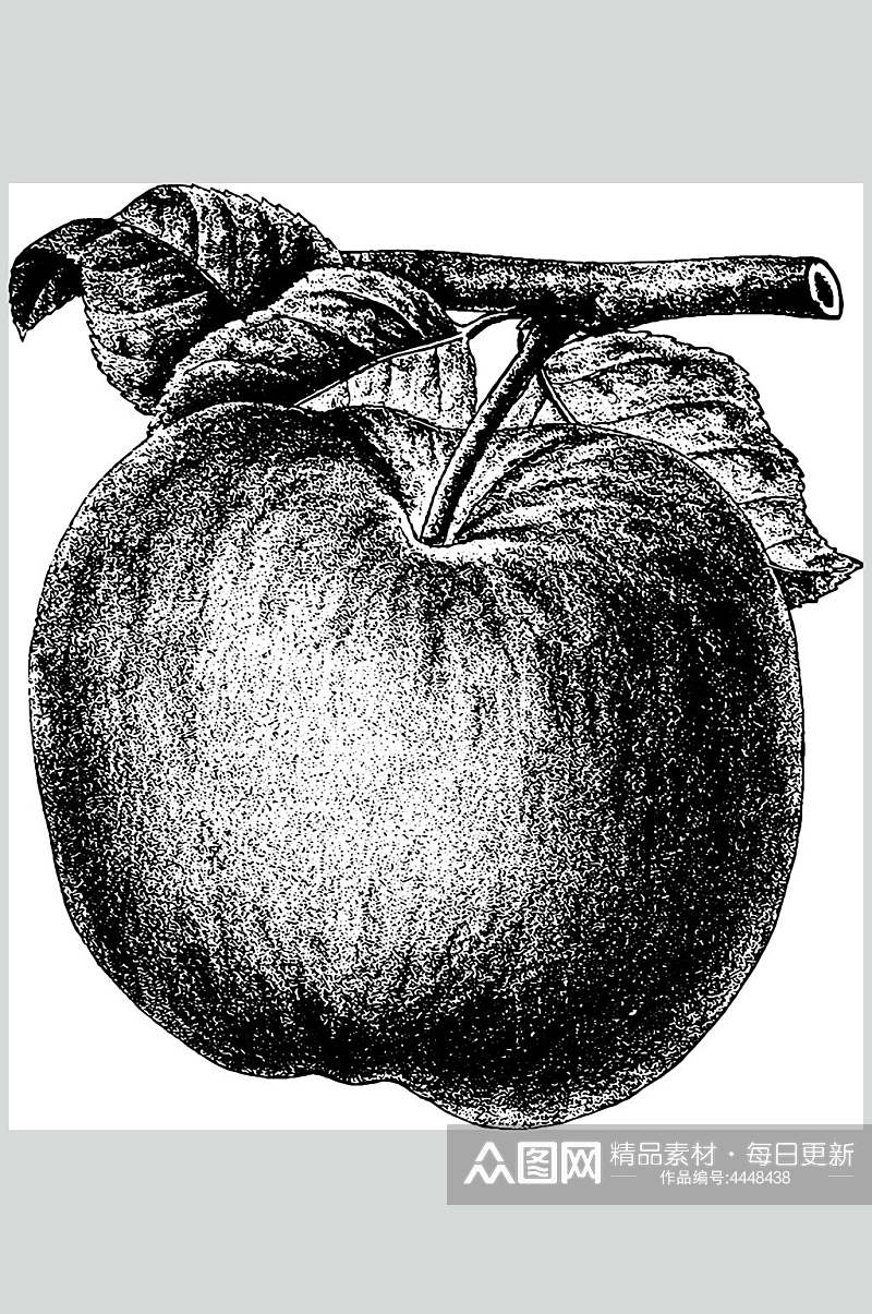 叶子苹果黑色水果素描手绘矢量素材素材