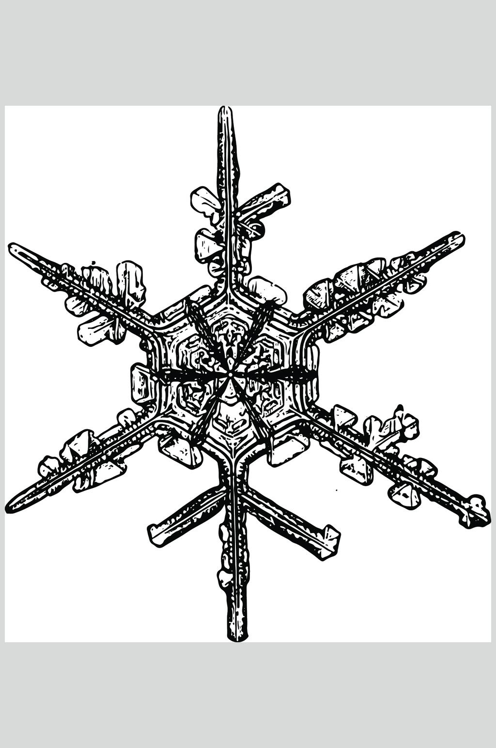 创意时尚雪花矢量素材素材
