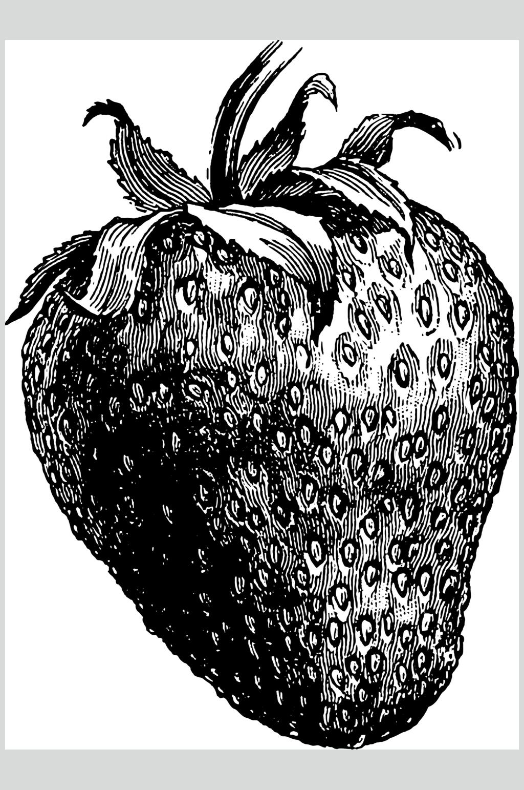 草莓简约叶子水果素描手绘矢量素材素材