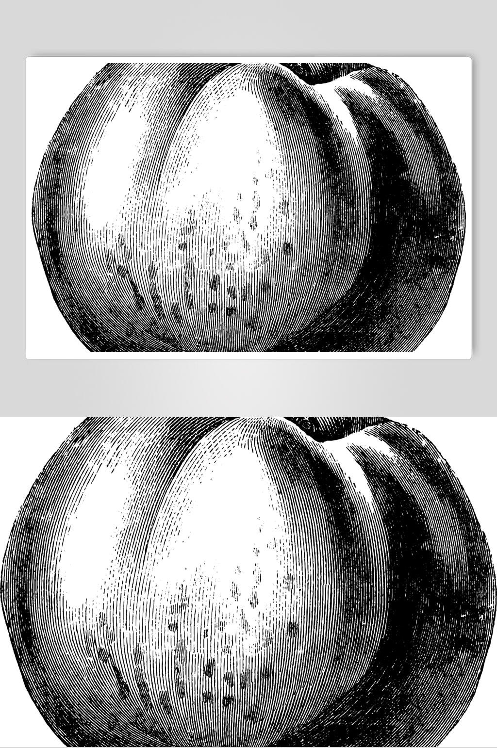 桃子水果素描手绘矢量素材素材