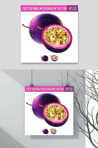 紫色矢量水果插画素材