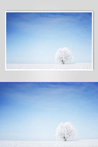 蓝白色冬季雪景摄影图