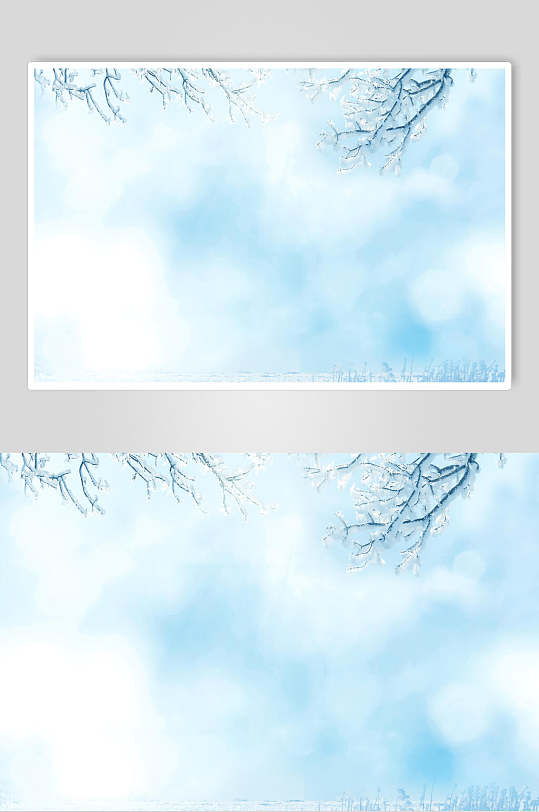蓝色雪树冬季雪景摄影图
