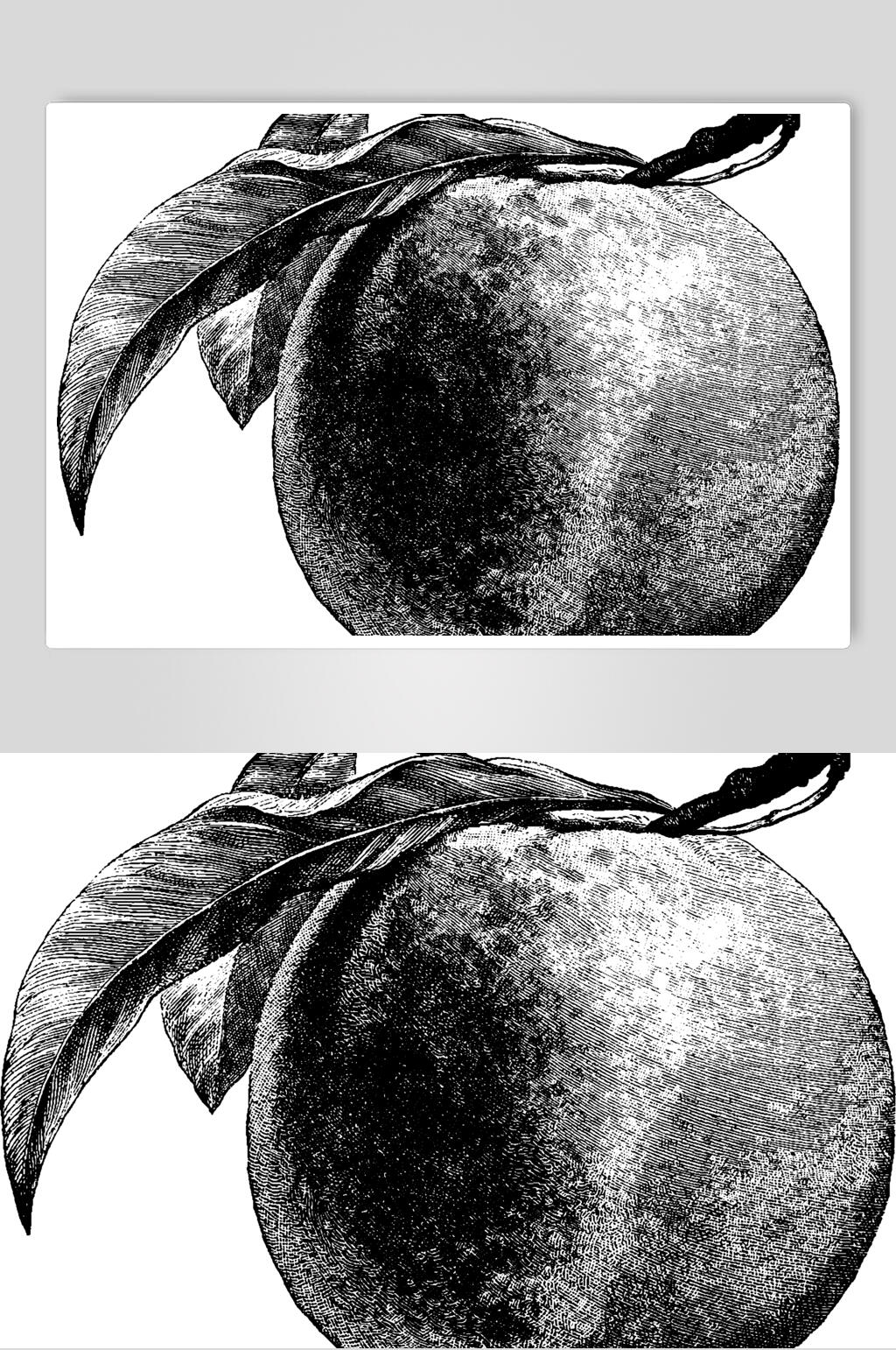苹果水果素描手绘矢量素材素材