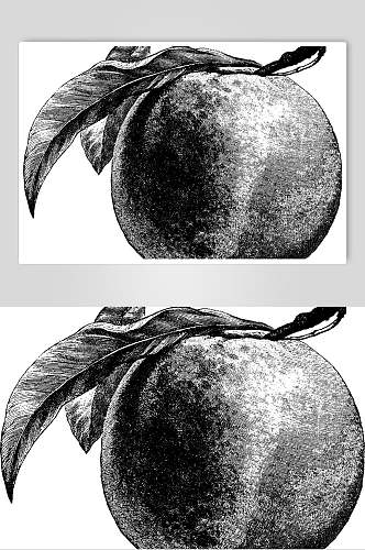 苹果水果素描手绘矢量素材