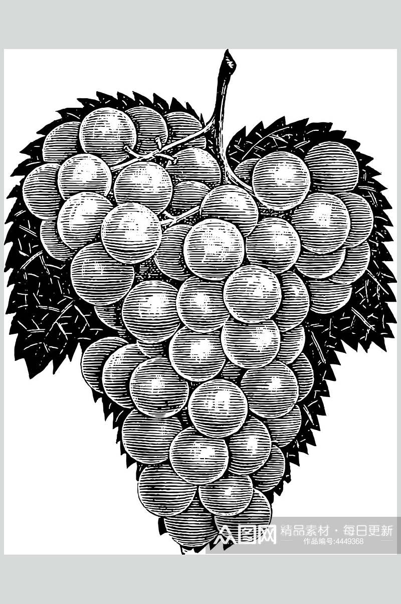 创意葡萄水果素描手绘矢量素材素材