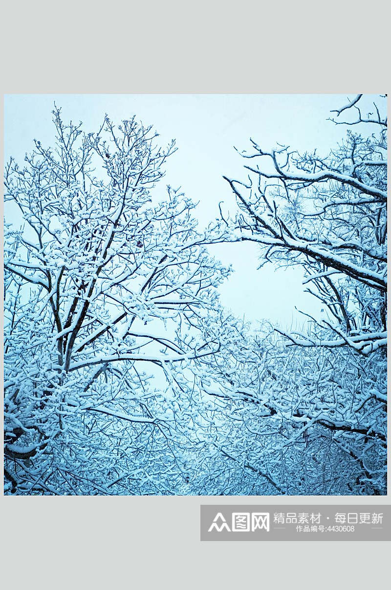 雪树冬季雪景摄影图素材