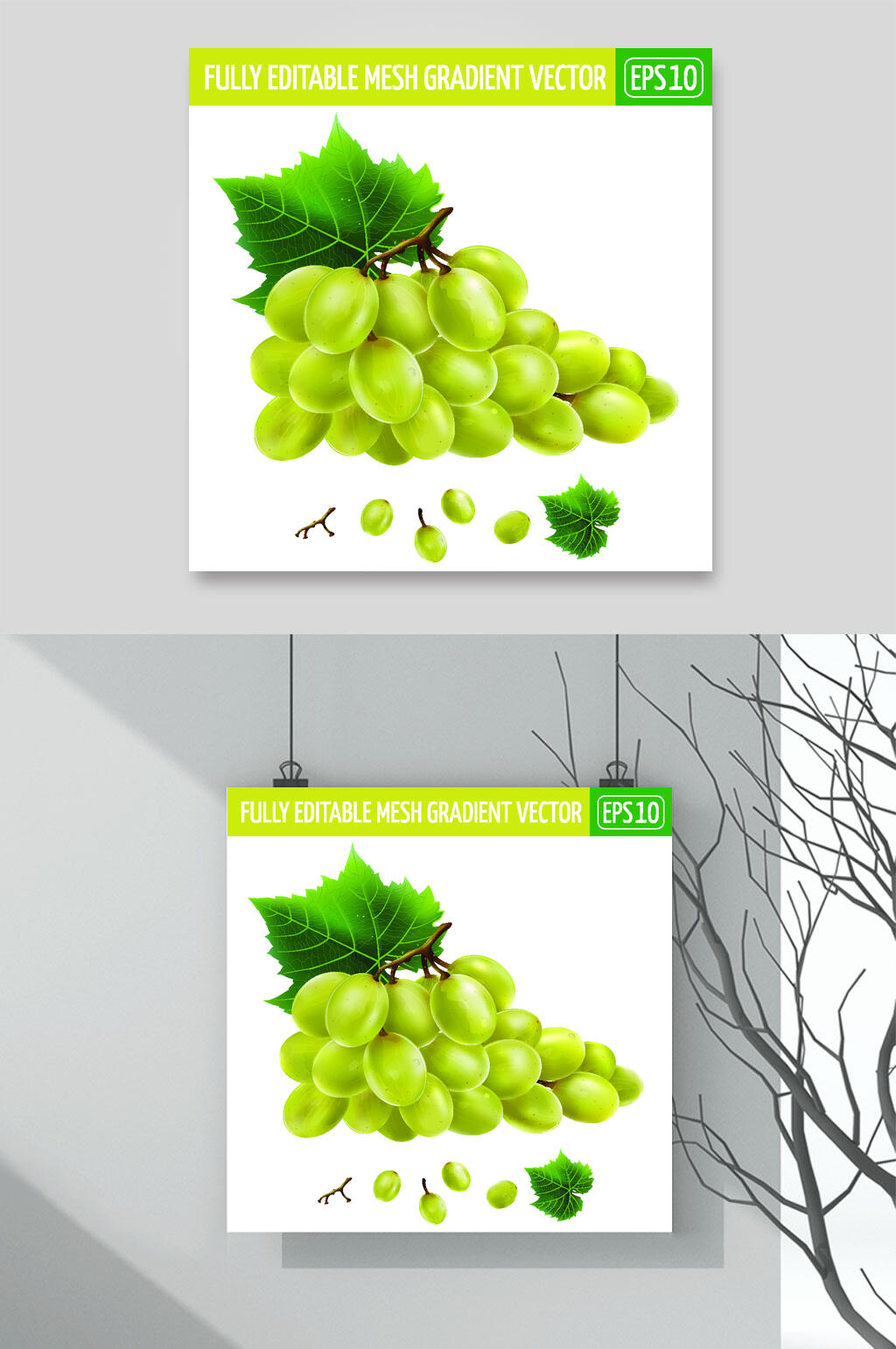 叶子葡萄绿色清新矢量水果插画素材素材