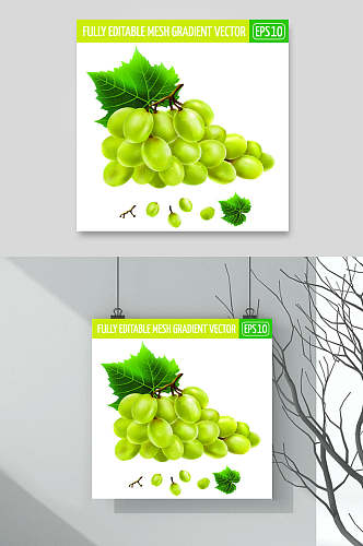 叶子葡萄绿色清新矢量水果插画素材