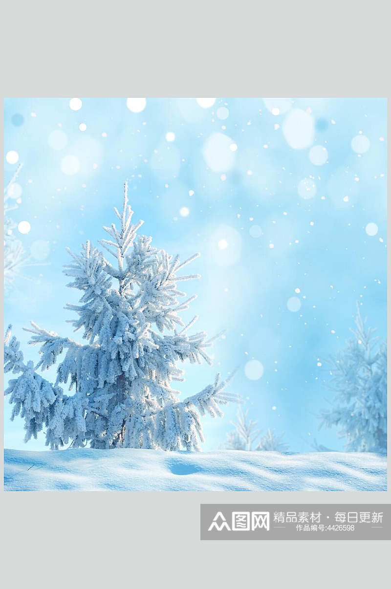 雪树白冬季雪景摄影图素材