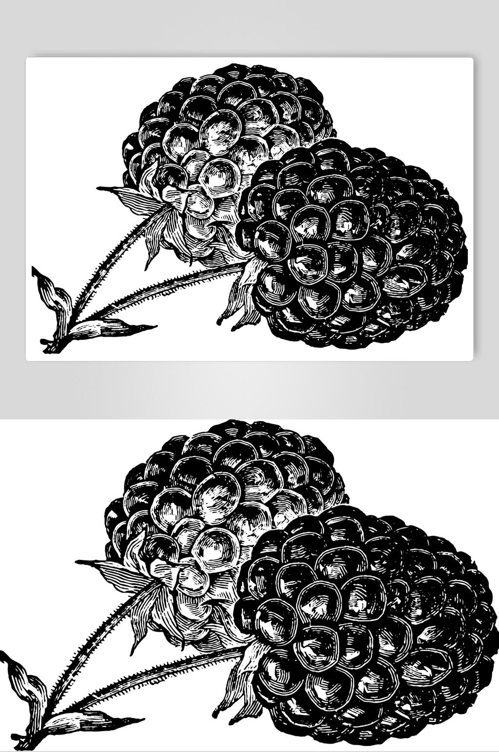 叶子黑色清新水果素描手绘矢量素材素材
