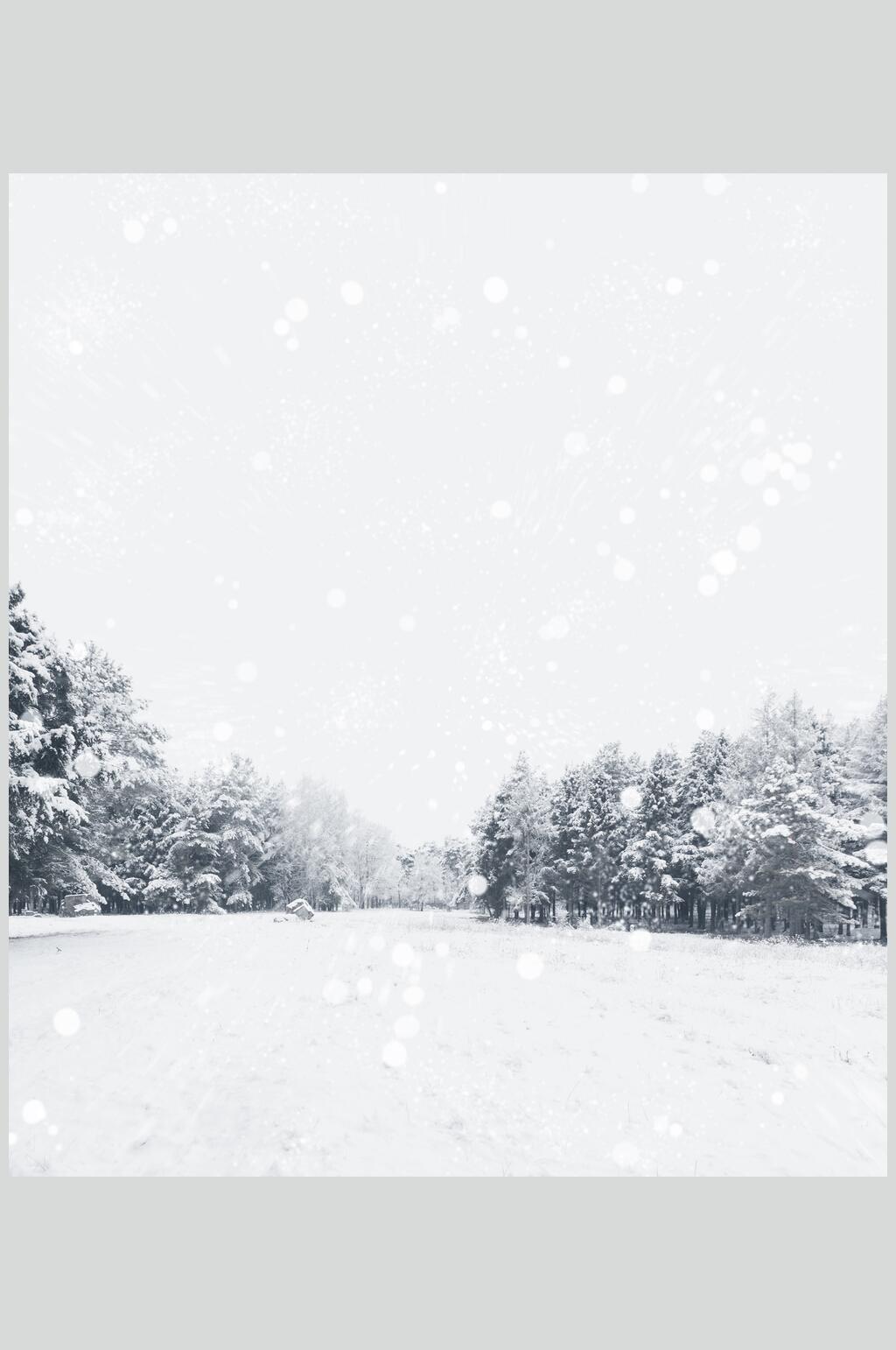 近景高清落雪灰白自然雪景图片素材