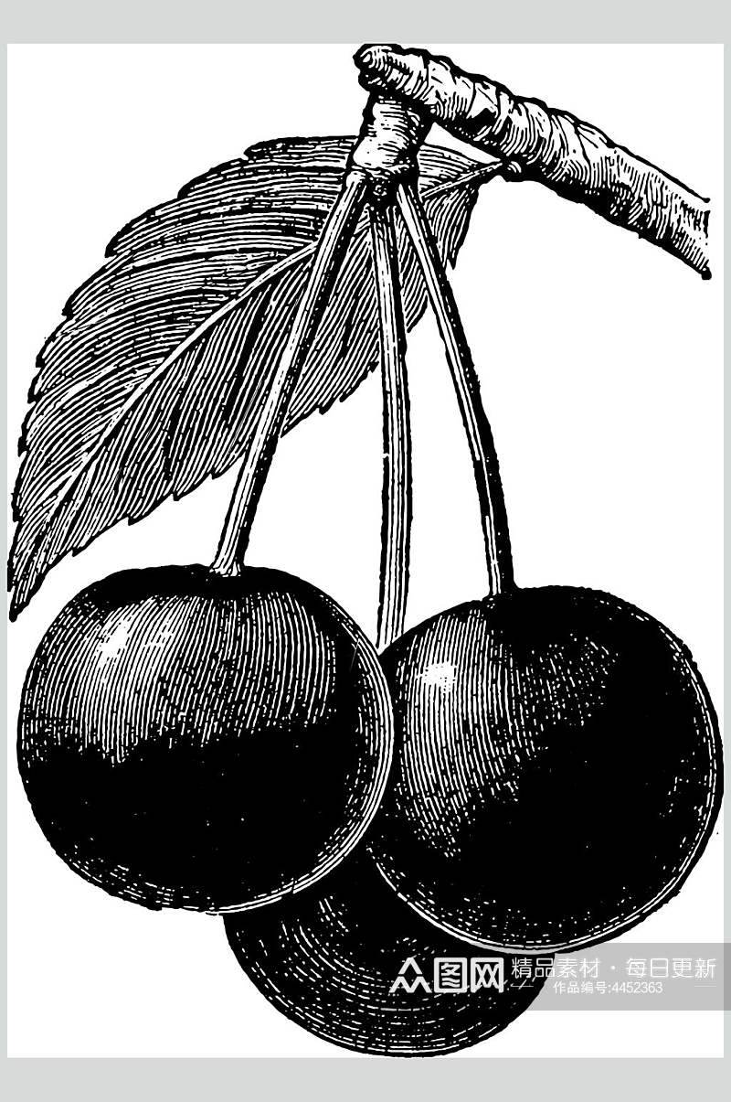 黑白水果素描手绘矢量素材素材