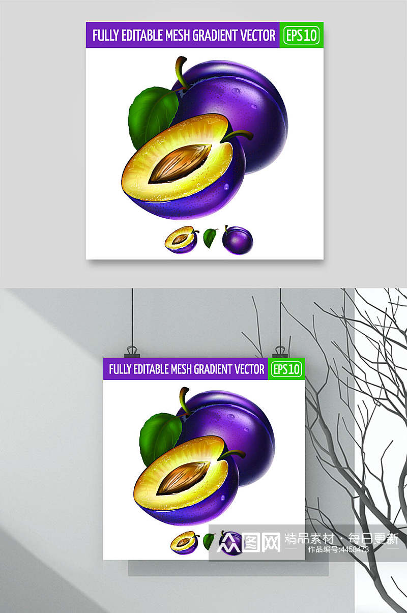 紫色矢量水果插画素材素材