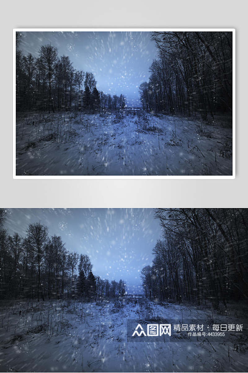 树木落雪蓝天白云自然雪景图片素材