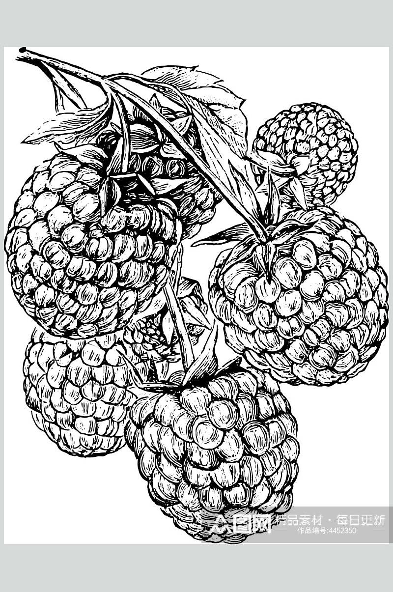 桑葚水果素描手绘矢量素材素材