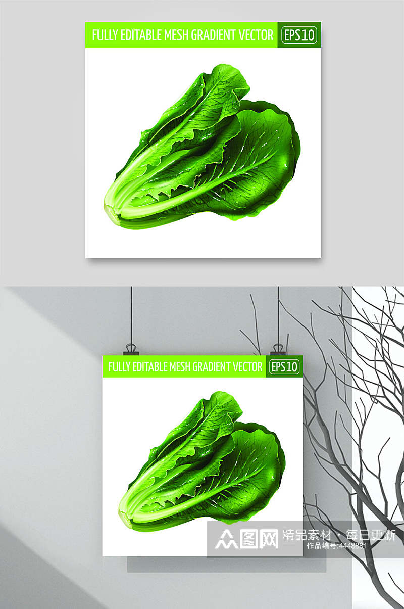 蔬菜绿色插图清新矢量水果插画素材素材