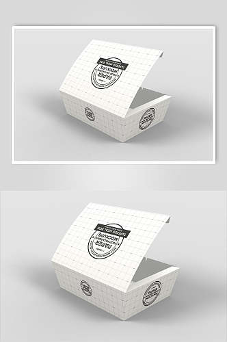 纸盒快餐包装样机