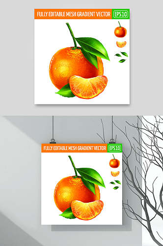 橘子黄色叶子清新矢量水果插画素材