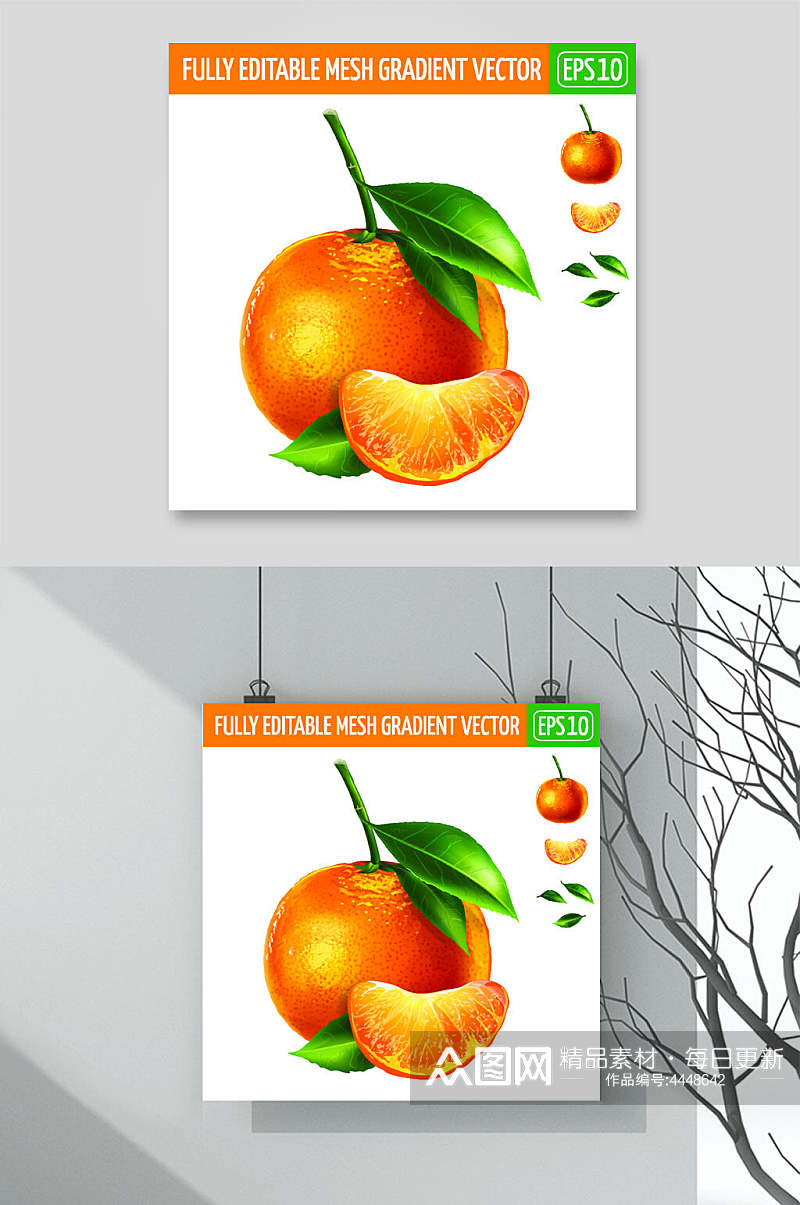 橘子黄色叶子清新矢量水果插画素材素材