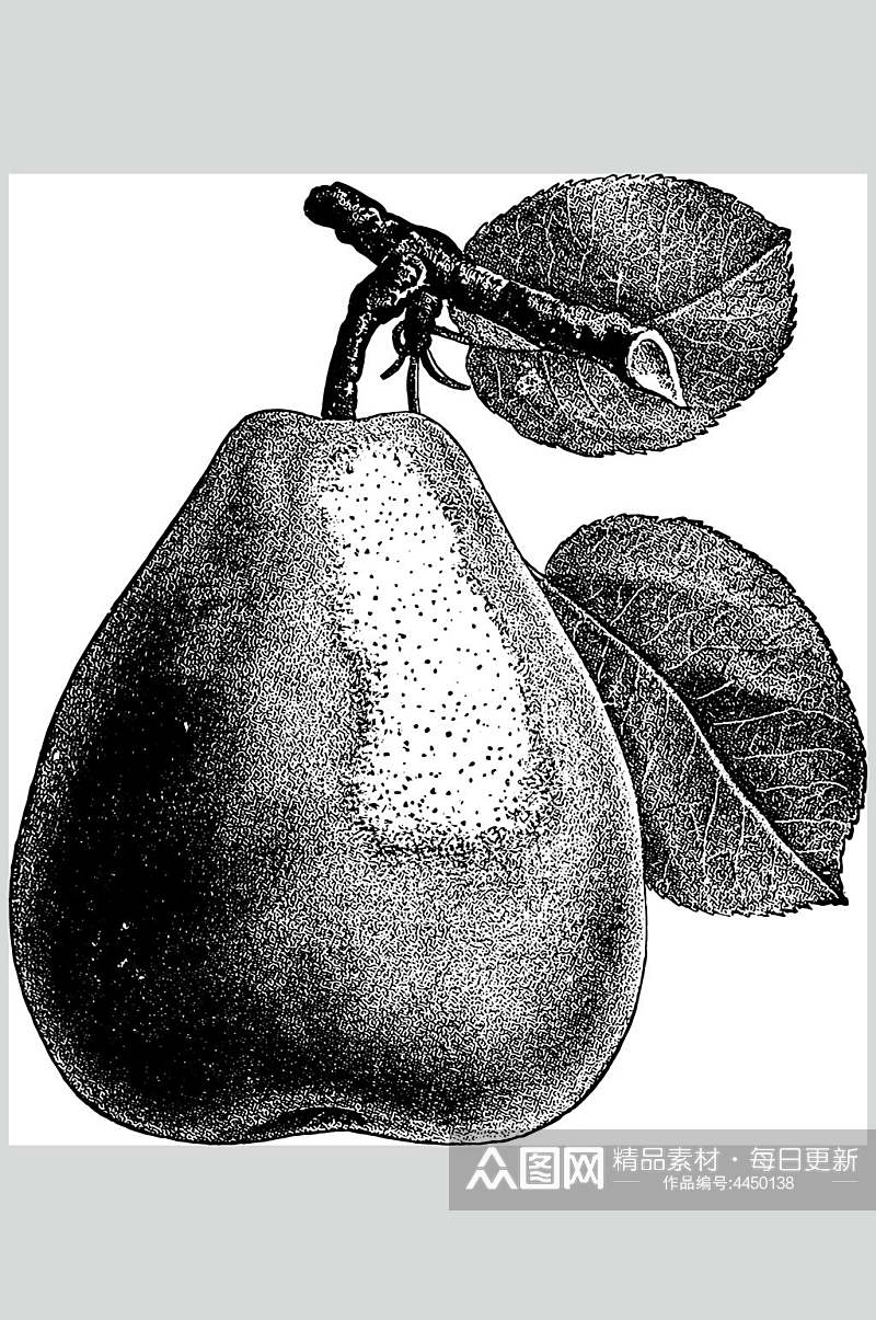 梨子水果素描手绘矢量素材素材