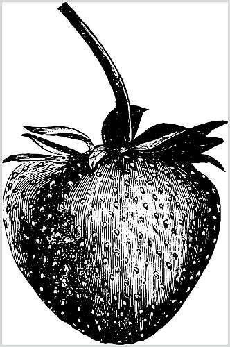 简约草莓水果素描手绘矢量素材