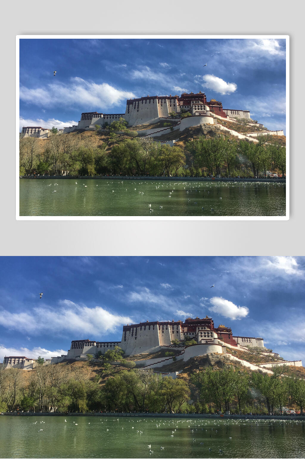 湖泊布达拉宫风景图素材