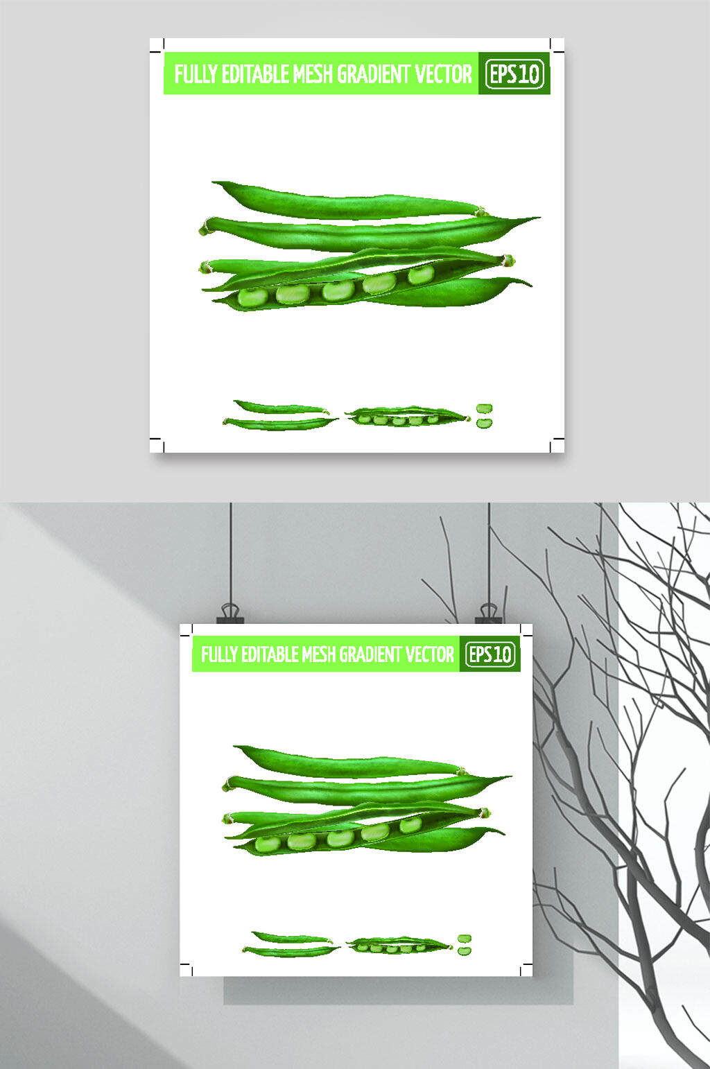 扁豆绿色简约清新矢量水果插画素材素材