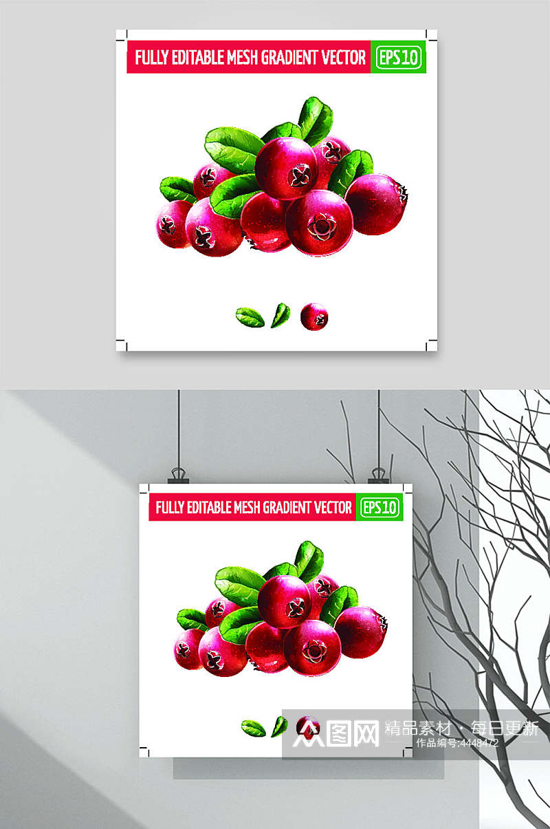 红绿英文简约时尚矢量水果插画素材素材