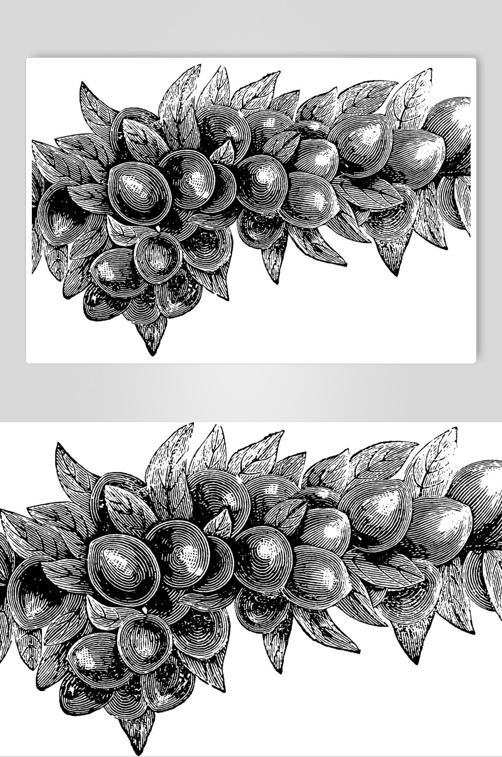精致水果素描手绘矢量素材素材