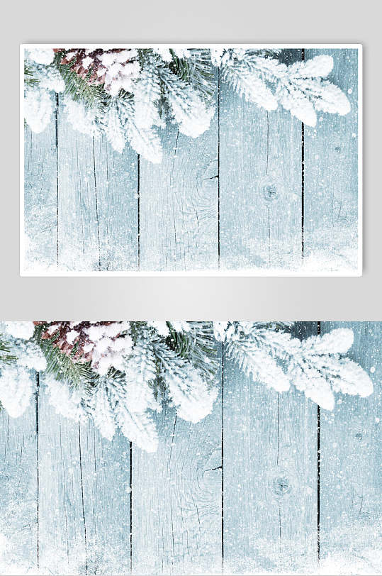 竖纹雪松冬季雪景摄影图