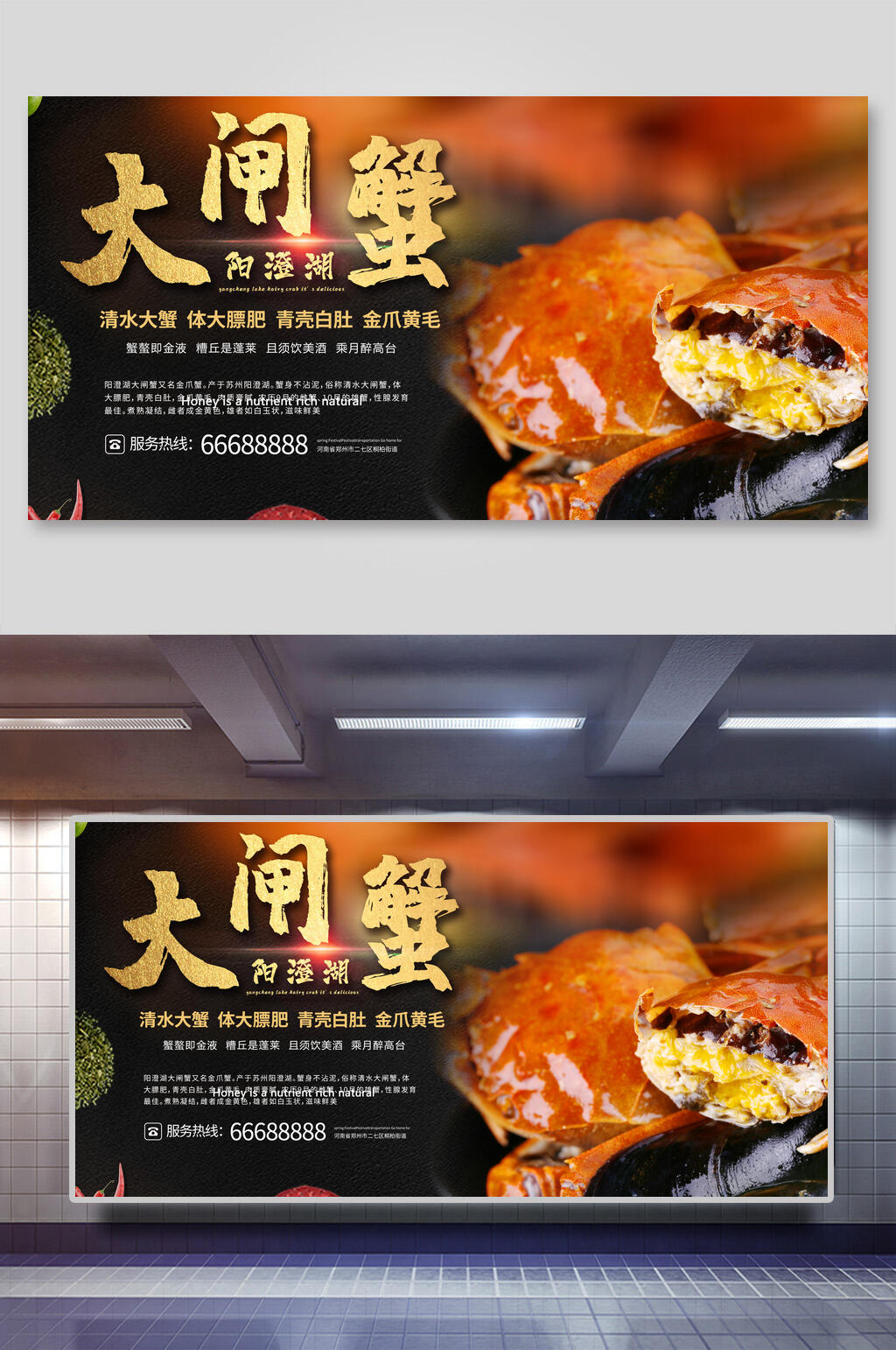 阳澄湖大闸蟹大闸蟹美食展板素材