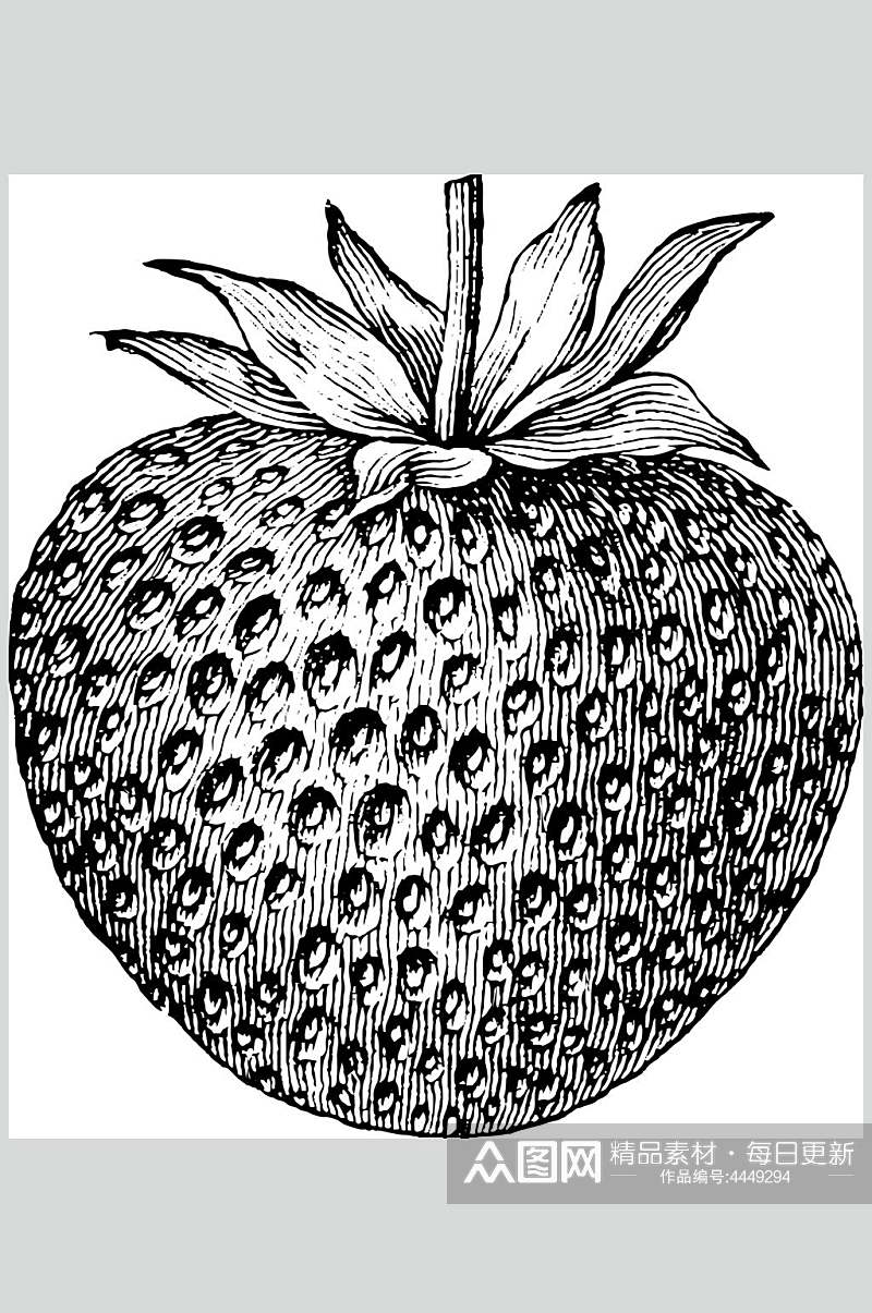 草莓黑色清新水果素描手绘矢量素材素材