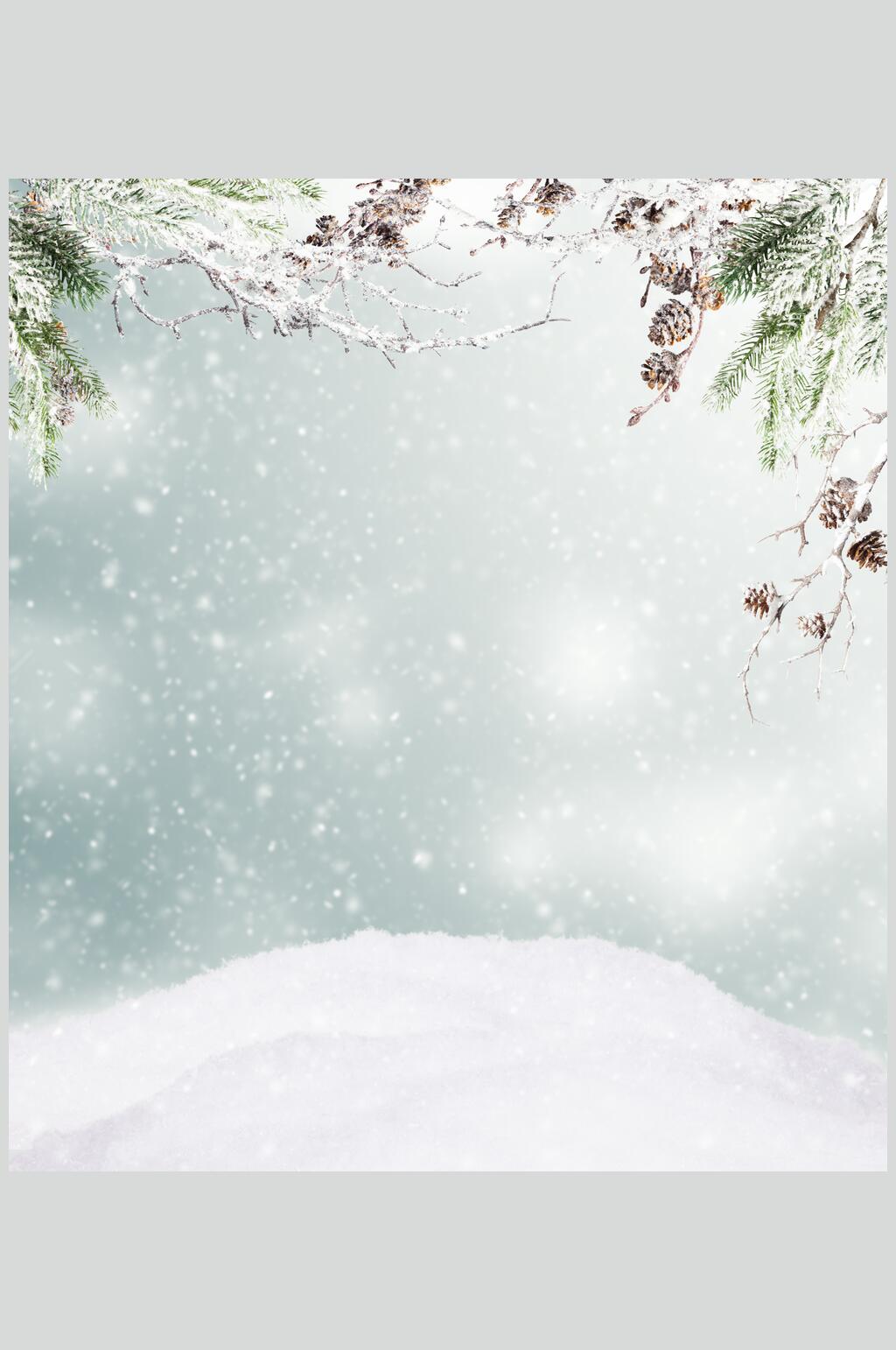 飘雪树叶松果白冬季雪景摄影图素材