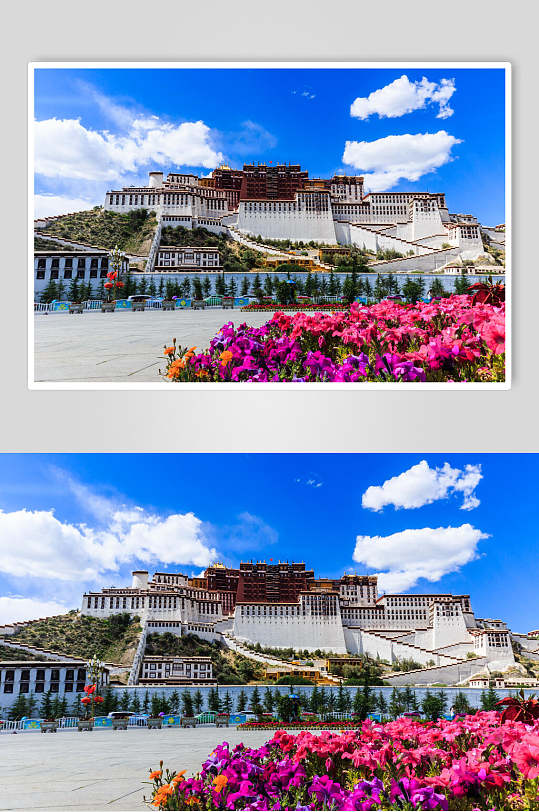 蓝色花朵布达拉宫风景图-众图网